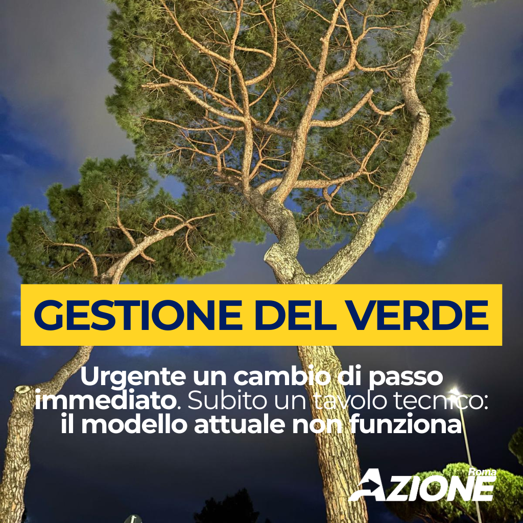 A Roma la gestione del verde non funziona. Serve cambio di passo